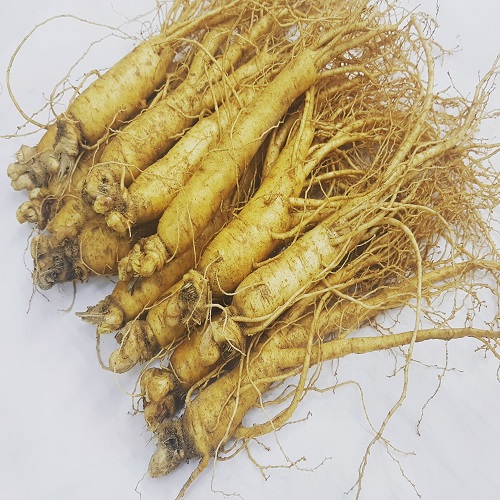 선택고민 해결 대한인삼사 풍기인삼 5년근6년근 750g 11~15뿌리 특상품, 1개, 원수삼 750g 11~15뿌리 신문포장 알아요? 선택고민 해결 대한인삼사 풍기인삼 5년근6년근 750g 11~15뿌리 특상품, 1개, 원수삼 750g 11~15뿌리 신문포장 알아요?