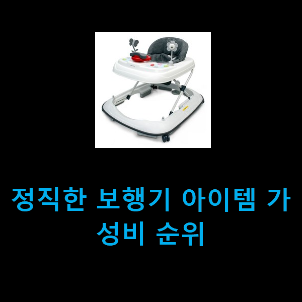  정직한 보행기 아이템 가성비 순위
