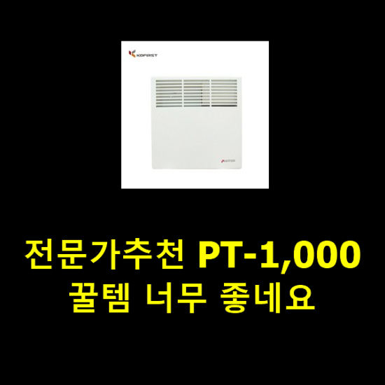 전문가추천 PT-1,000 꿀템 너무 좋네요