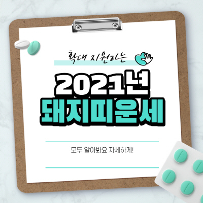  2021년 돼지띠 운세 월별 및 나이 상세 안내