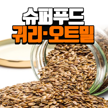  귀리 · 오트밀 효능 :: 세계가 인정한 최고의 슈퍼푸드