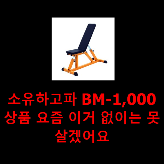  소유하고파 BM-1,000 상품 요즘 이거 없이는 못살겠어요