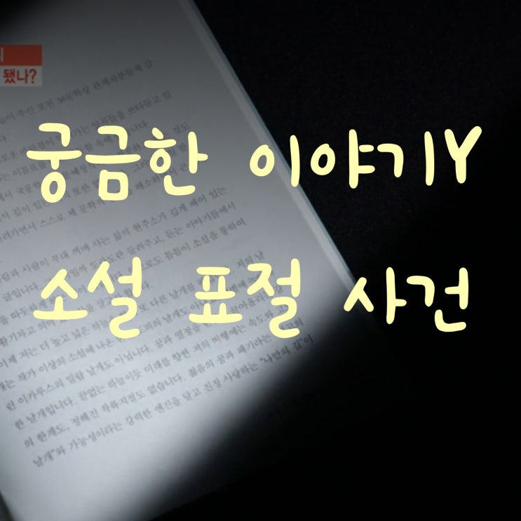  궁금한이야기Y-소설을 도둑질한 남자/소설표절사건