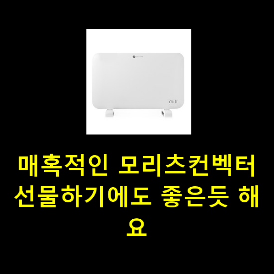 매혹적인 모리츠컨벡터 선물하기에도 좋은듯 해요 매혹적인 모리츠컨벡터 선물하기에도 좋은듯 해요