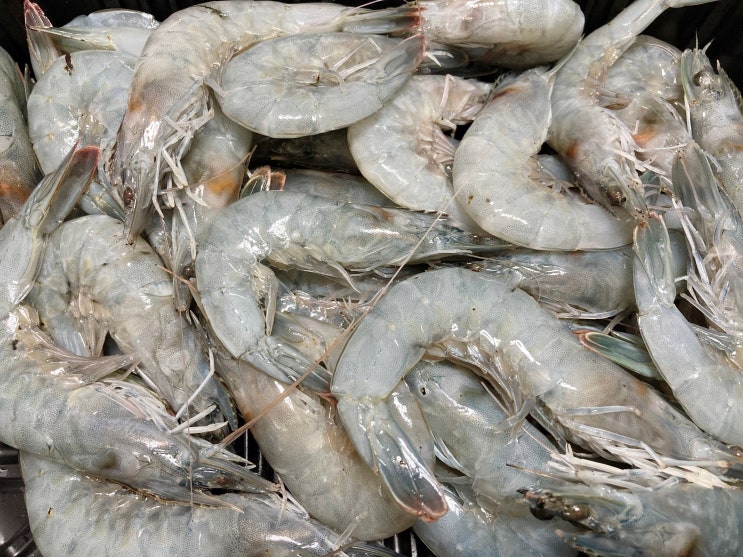  프레슈림 흰다리새우1kg 후기, (with 쿵파오파스타)