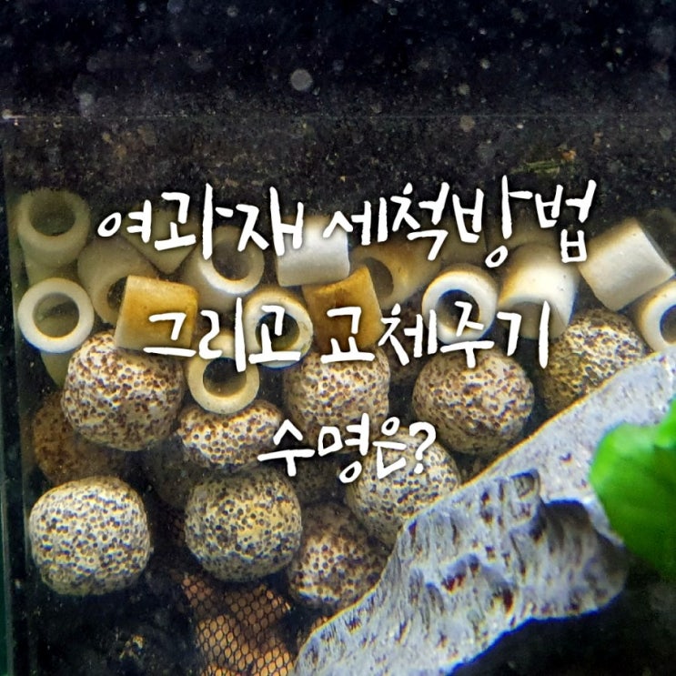 어항 3년묵은 여과재 세척 소독하기(feat. 나가레 상면여과)