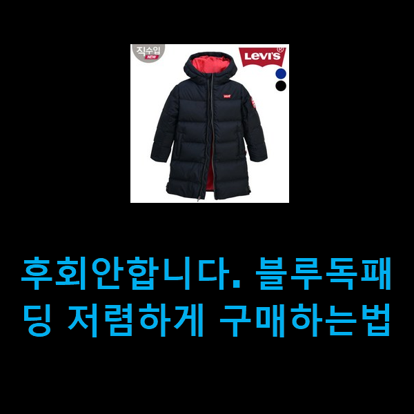  후회안합니다. 블루독패딩 저렴하게 구매하는법