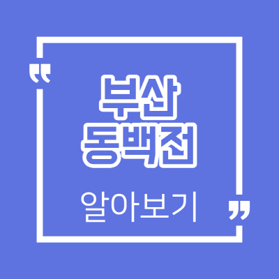  부산 동백전 카드 발급 및 가맹점 리스트 살펴보기