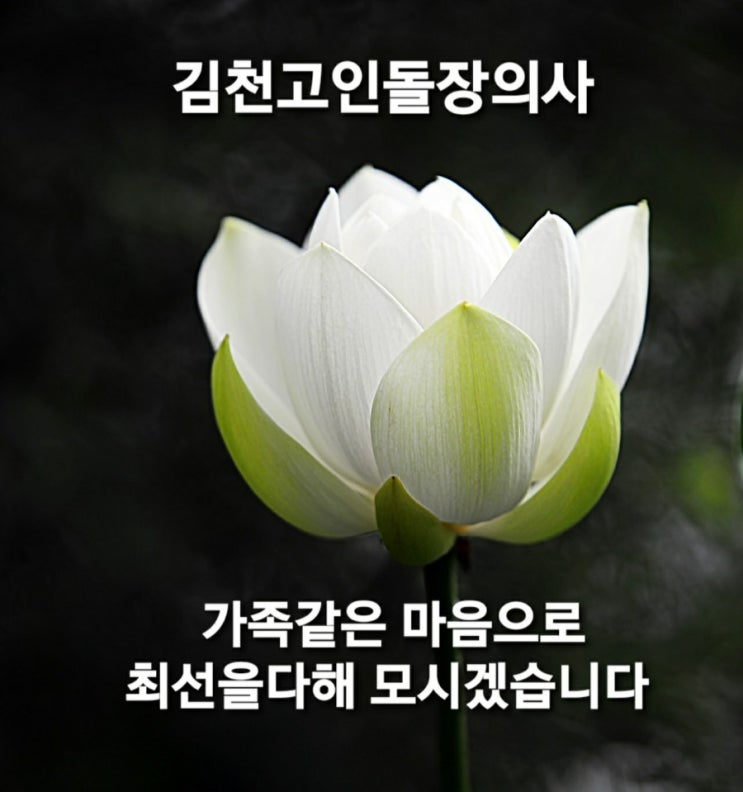 김천 고인돌장묘개발 장의사