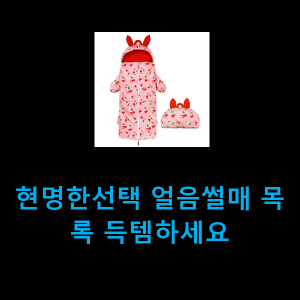  현명한선택 얼음썰매 목록 득템하세요