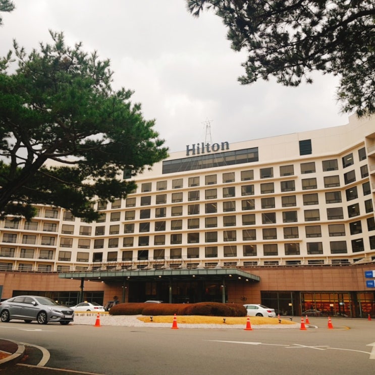  [경주 힐튼 호캉스] 룸컨디션 룸서비스 정보