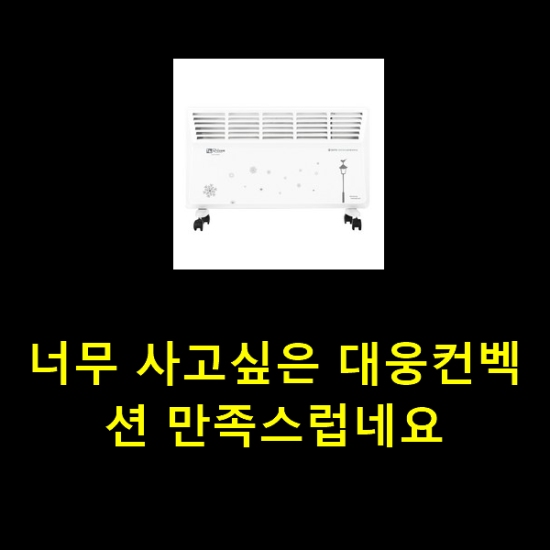 너무 사고싶은 대웅컨벡션 만족스럽네요 너무 사고싶은 대웅컨벡션 만족스럽네요