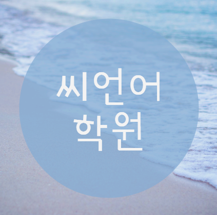  씨언어학원 에서 공부한번 해볼까?