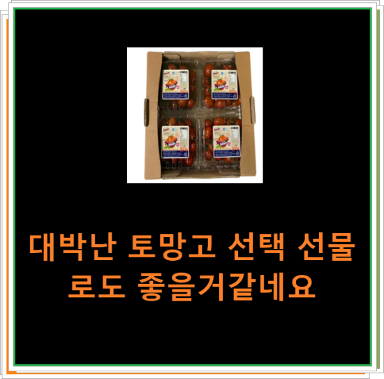 대박난 토망고 선택 선물로도 좋을거같네요 대박난 토망고 선택 선물로도 좋을거같네요