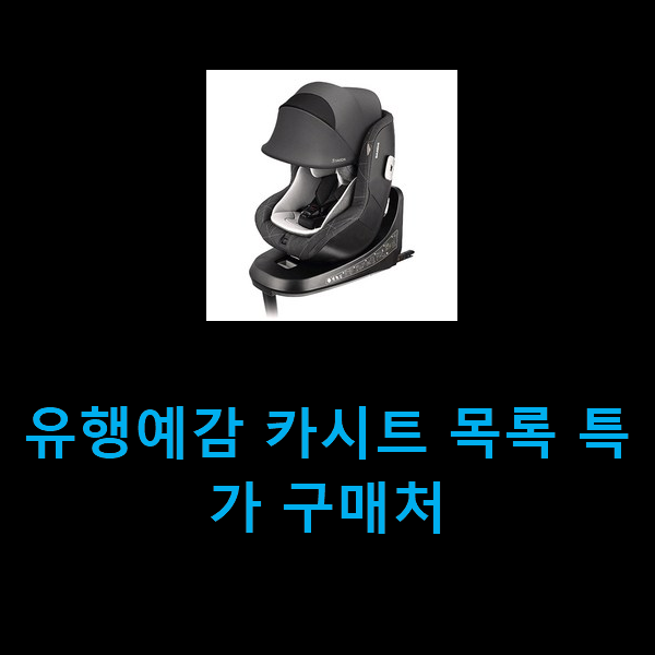 유행예감 카시트 목록 특가 구매처