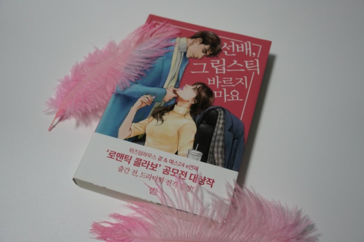  선배,그 립스틱 바르지 마요 원작 웹소설