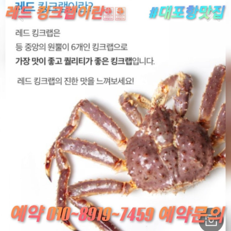  대포항맛집 속초가볼만한곳 적극추천