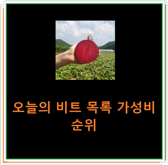 오늘의 비트 목록 가성비 순위 오늘의 비트 목록 가성비 순위