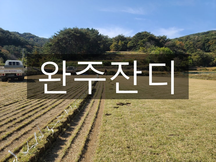  청정과 첨단의 조화 완주 잔디 배송