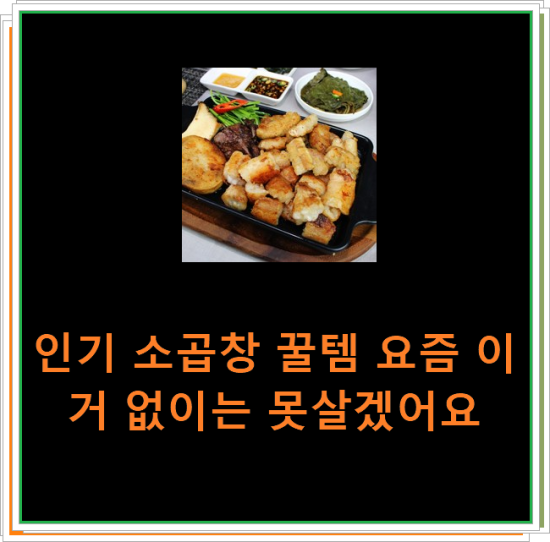 인기 소곱창 꿀템 요즘 이거 없이는 못살겠어요 인기 소곱창 꿀템 요즘 이거 없이는 못살겠어요