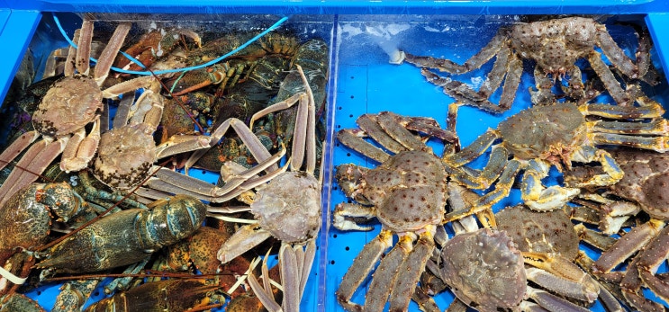  주린이 주식투자로 소소한 수익내서 맛난거 먹었소! 여러분도 수익 내소~!