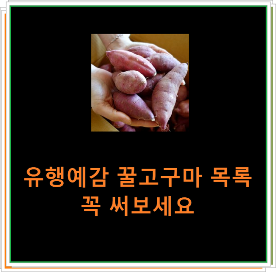 유행예감 꿀고구마 목록 꼭 써보세요