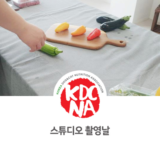  [전주/군산/익산/대전/대구/창원/진주/김해/포항/김제 펫푸드자격증] 중소벤처기업부와 함께한 박은정 펫영양사 창업가 촬영_722