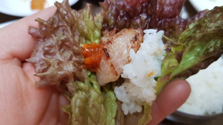  정선 신동 맛집 추천:) 숯불구이라 더맛있는 풍년고기나라 먹방여행