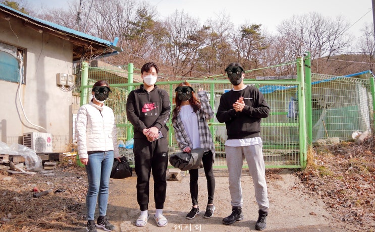  경기도 유기견 봉사활동(비봉 달봉이네 세번째 이야기)