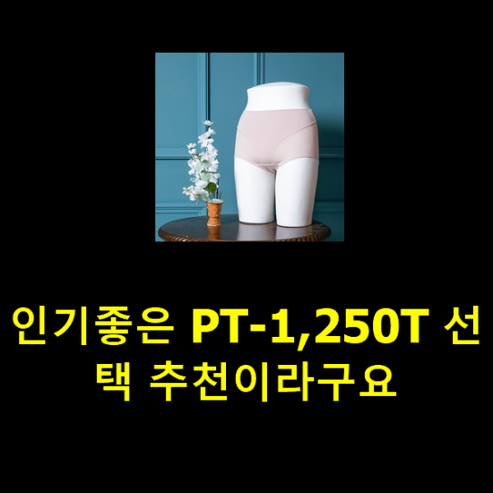 인기좋은 PT-1,250T 선택 추천이라구요