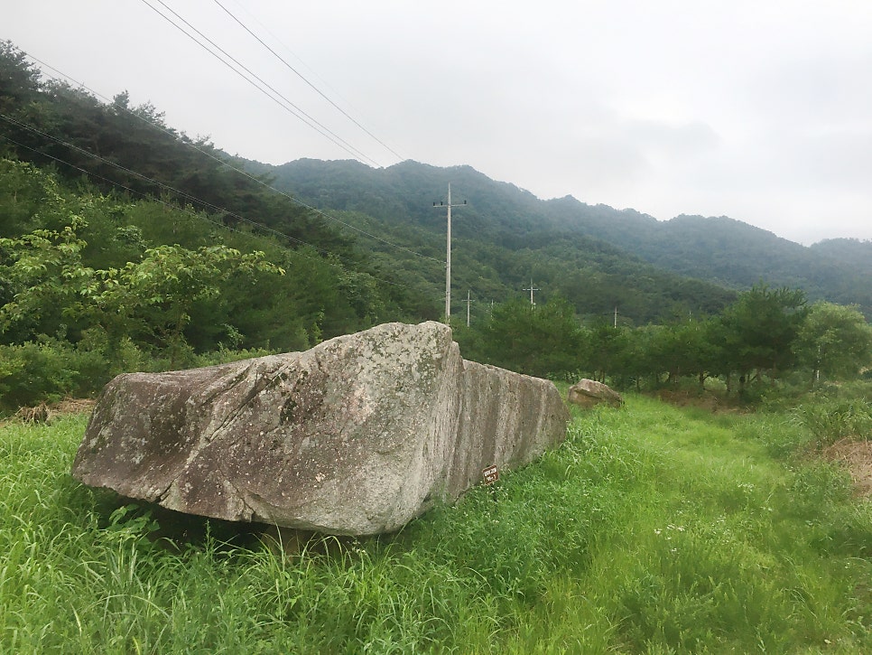 암치제 사진 3