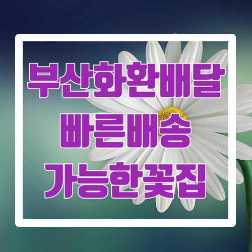  부산화환배달 빠른 배송 가능한 꽃집