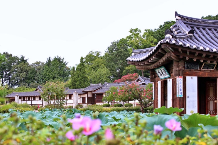 강릉 가볼만한곳 한국 최고의 전통가옥이 있는 선교장 강릉 가볼만한곳 한국 최고의 전통가옥이 있는 선교장
