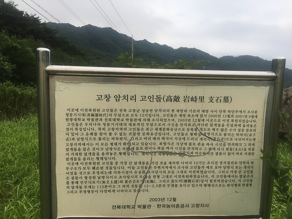 암치제 사진 2