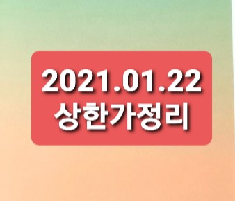 2021.01.22 상한가정리