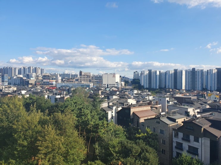  고도리의 주식+부동산 사담 1(성장주 매도원칙,  부동산 매수원칙,무리한 영끌금지)