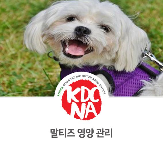  [대전/세종/익산/군산/부안/부여/천안/세종/대구/광주/목포/울산 펫푸드자격증] 한국반려동물영양협회 나의반려 펫영양사가 알려주는 말티즈 영양 관리_728