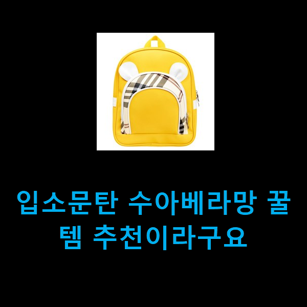  입소문탄 수아베라망 꿀템 추천이라구요