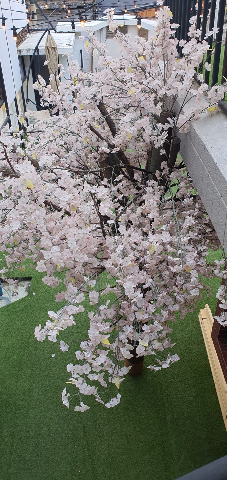  대구 동성로 엄청 이쁜카폐) 마주봄 거기한번 저두 다녀봄~  매력적인카페