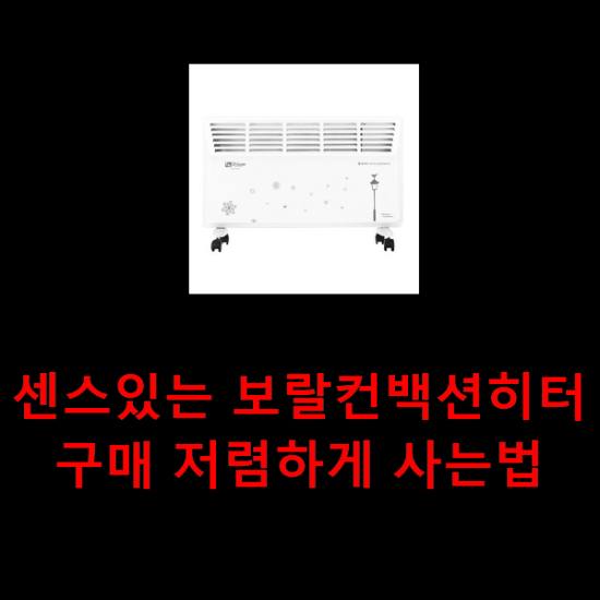  센스있는 보랄컨백션히터 구매 저렴하게 사는법