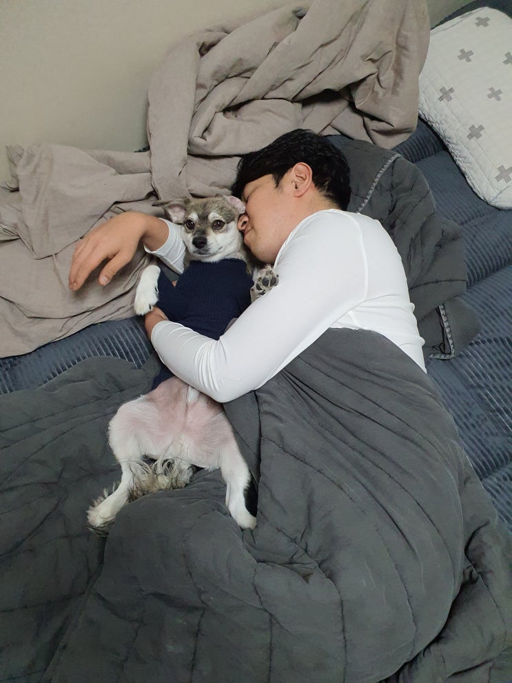  강단풍 입에 뭐가 났어?