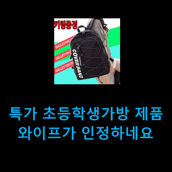  특가 초등학생가방 제품 와이프가 인정하네요