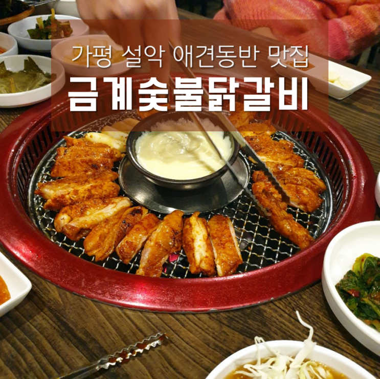  가평 설악 애견동반 식당 금계숯불닭갈비, 치즈퐁듀 찍어먹는 닭갈비 맛집