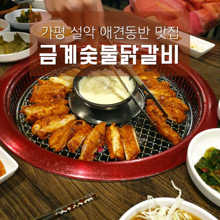 가평 설악 애견동반 식당 금계숯불닭갈비, 치즈퐁듀 찍어먹는 닭갈비 맛집