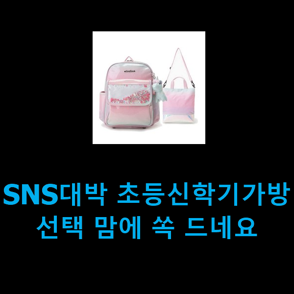  SNS대박 초등신학기가방 선택 맘에 쏙 드네요