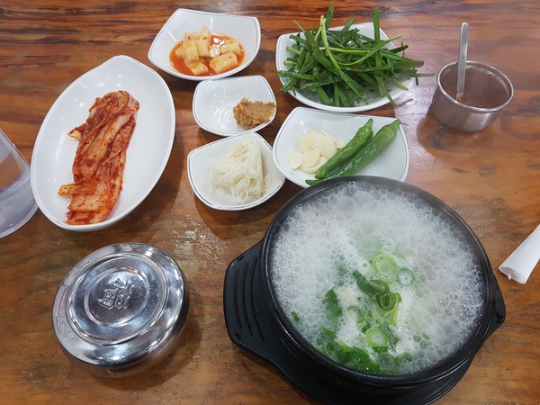 [철산 맛집] 오가네 돼지국밥에서 국밥 먹었어요!