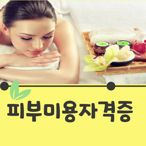  피부미용사자격증  5가지만 정확히 알고 합격했어요