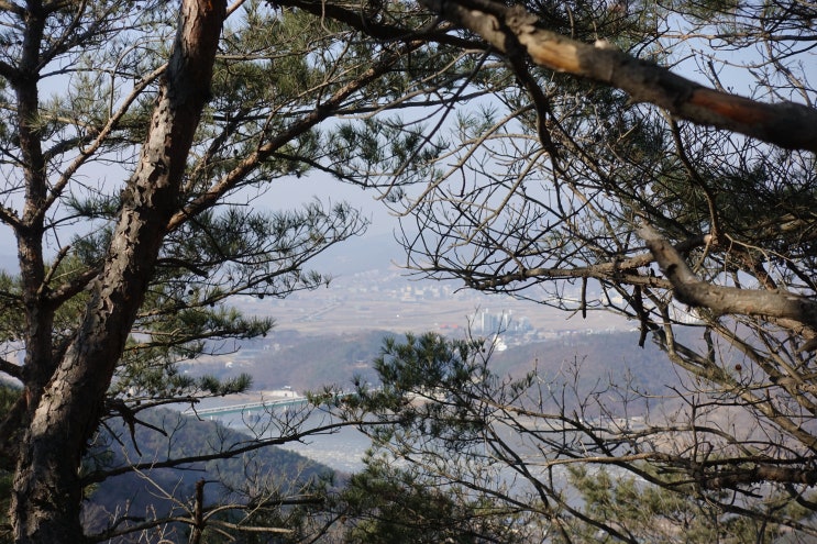  고침단명 이유
