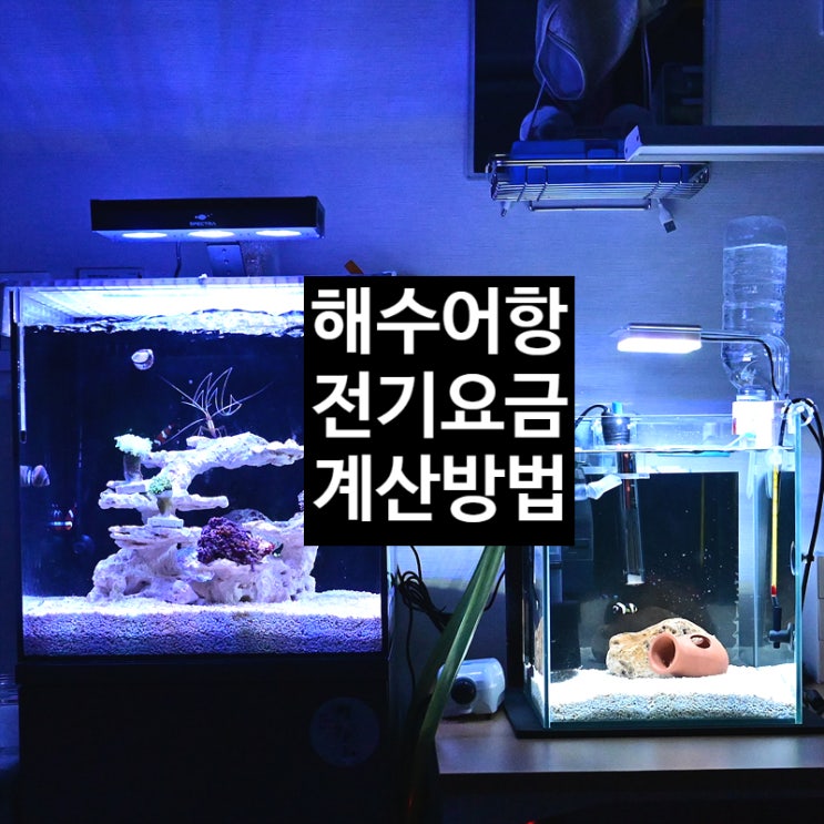  35큐브 해수 어항 전기세 계산, 전기 요금 계산 방법과 전기 요금 누진세