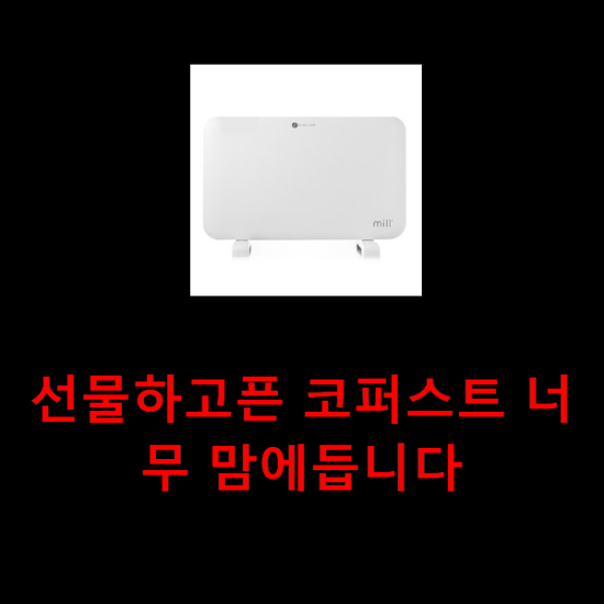  선물하고픈 코퍼스트 너무 맘에듭니다